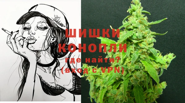 дживик Сосновый Бор