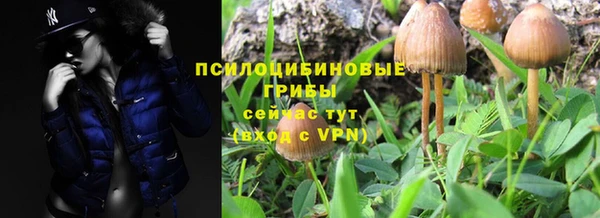 эйфоретик Волоколамск