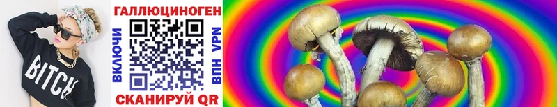 Псилоцибиновые грибы MAGIC MUSHROOMS  Павловск 