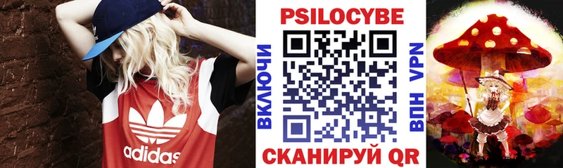 Псилоцибиновые грибы GOLDEN TEACHER Павловск