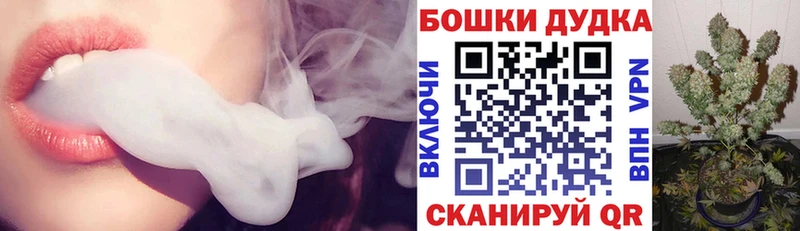 Шишки марихуана MAZAR  купить   Павловск 